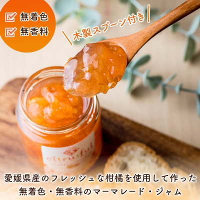 <マーマレード・ジャム 3種セット> 国産 愛媛県産 西宇和 マーマレード ジャム セット 3個