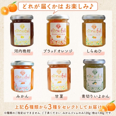 <マーマレード・ジャム 3種セット> 国産 愛媛県産 西宇和 マーマレード ジャム セット 3個
