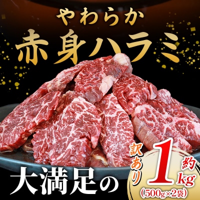 <秘伝の特製タレ仕込み!やわらか赤身ハラミ 約1kg(500g×2)> 訳あり はらみ ハラミ 赤身