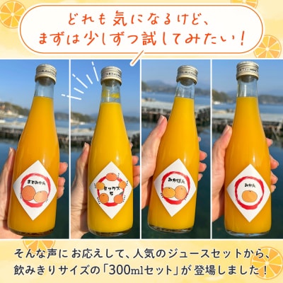 <一歩会 ジュエリーボックス ジュース飲み比べセット ミニ 300ml×4本入り> 愛媛 果汁 