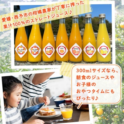 <一歩会 ジュエリーボックス ジュース飲み比べセット ミニ 300ml×4本入り> 愛媛 果汁 