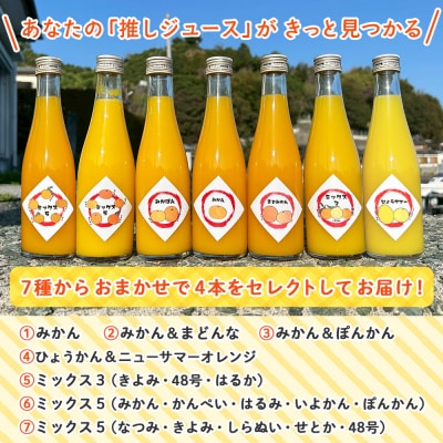 <一歩会 ジュエリーボックス ジュース飲み比べセット ミニ 300ml×4本入り> 愛媛 果汁 