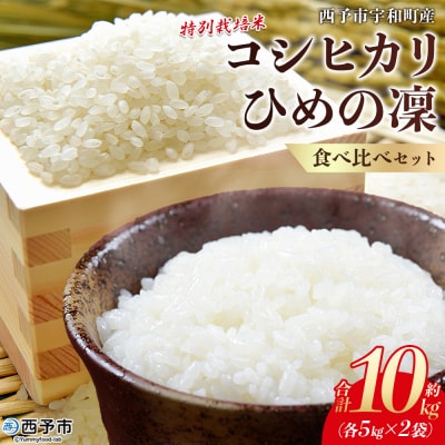 <令和7年産 西予市宇和町産 特別栽培米コシヒカリ・ひめの凜 食べ比べセット各5㎏