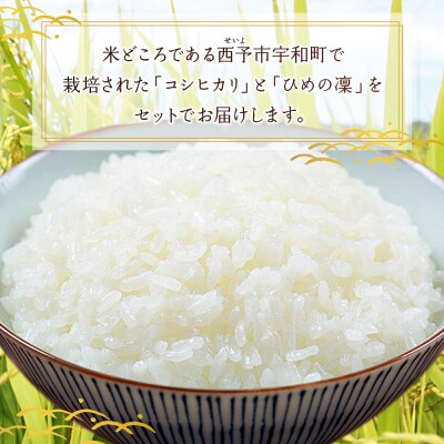 <令和7年産 西予市宇和町産 特別栽培米コシヒカリ・ひめの凜 食べ比べセット各5㎏