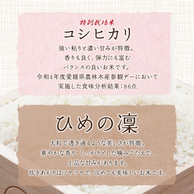 <令和7年産 西予市宇和町産 特別栽培米コシヒカリ・ひめの凜 食べ比べセット各5㎏