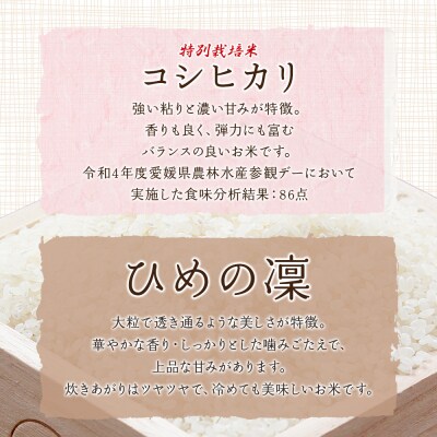 <令和7年産 西予市宇和町産 特別栽培米コシヒカリ・ひめの凜 食べ比べセット各5㎏