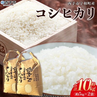 <令和7年産 西予市宇和町産 コシヒカリ 約10kg> お米 