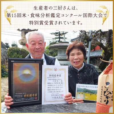 <令和7年産 西予市宇和町産 コシヒカリ 約10kg> お米 