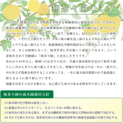 <無茶々園のジューシーフルーツジュース 720ml×4本> 柑橘 果物 オレンジ