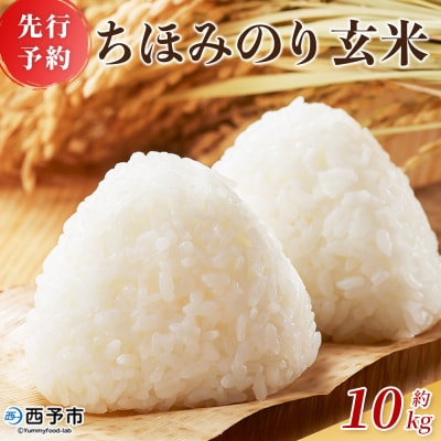 【先行予約】<ちほみのり 玄米 10kg > げんまい 米 こめ コメ ご飯 穀物 