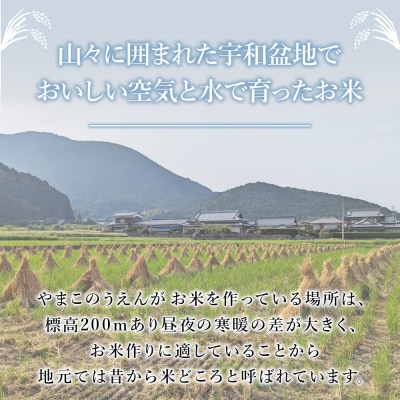 【先行予約】<ちほみのり 玄米 10kg > げんまい 米 こめ コメ ご飯 穀物 