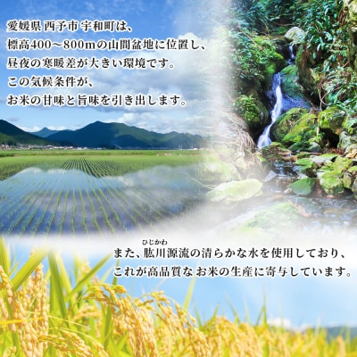 新米<令和7年産 愛媛県西予市産 コシヒカリ 5kg > お米 米 コメ こめ 白米 精