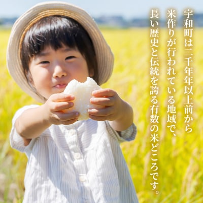 新米<令和7年産 愛媛県西予市産 コシヒカリ 5kg > お米 米 コメ こめ 白米 精