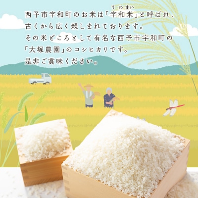 <愛媛県西予市産 コシヒカリ 10kg>国産 愛媛県産 宇和町産 宇和米 こしひかり