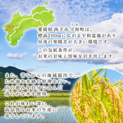 <令和8年産愛媛県西予市産 コシヒカリ 5kg>国産 愛媛県産 宇和町産 宇和米 こしひかり