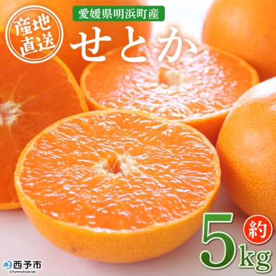 先行予約受付<産地直送 愛媛県明浜町産 せとか 約5kg> セトカ 果物 くだもの みかん