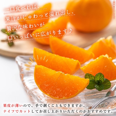 先行予約受付<産地直送 愛媛県明浜町産 せとか 約5kg> セトカ 果物 くだもの みかん