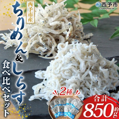 <ちりめん&しらす干し 食べ比べセット> 西予市産 ちりめん しらす干し 食べ比べ 健康 カルシウム