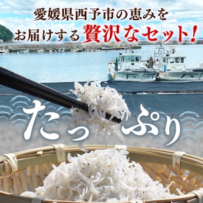 <ちりめん&しらす干し 食べ比べセット> 西予市産 ちりめん しらす干し 食べ比べ 健康 カルシウム