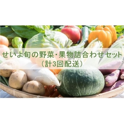 せいよ旬の野菜・果物詰合わせセット　月1回3か月(計3回配送)
