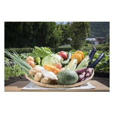 せいよ旬の野菜・果物詰合わせセット　月1回3か月(計3回配送)