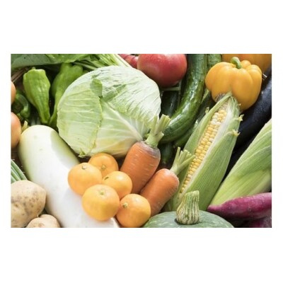 せいよ旬の野菜・果物詰合わせセット　月1回3か月(計3回配送)
