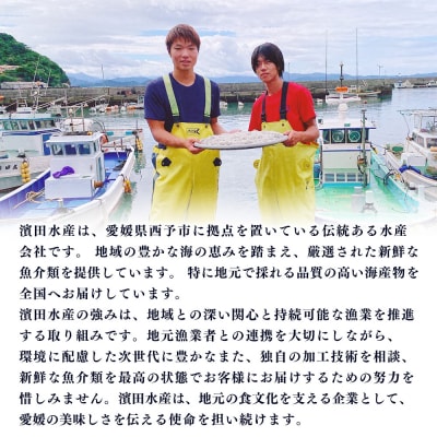 <しらす炊き込みご飯セット 3袋>2合用 二合 2～3人前 しらす シラス おじゃこ お魚 おさかな