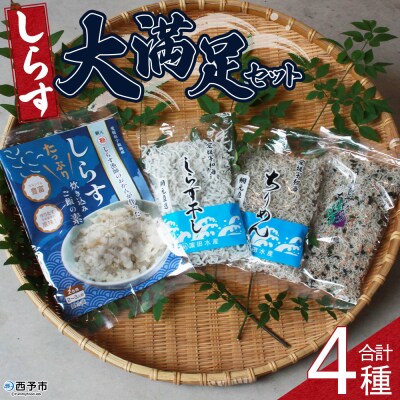 <しらす大満足セット 合計4種>炊き込み 西予市産 ちりめん しらす干し 食べ比べ 健康 カルシウム