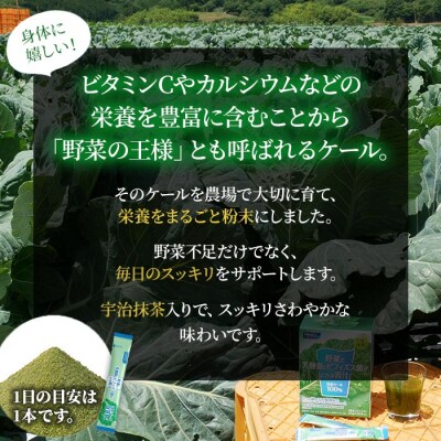 【3ヶ月定期便】野菜と乳酸菌とビフィズス菌がとれる青汁