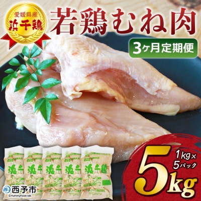 定期便<愛媛県産 銘柄鶏 浜千鶏(はまちどり)若鶏 むね肉5kg>国産 鶏肉 大容量 業務用 3か月