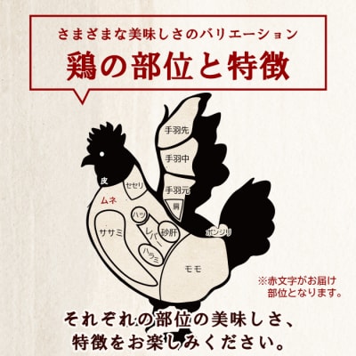 定期便<愛媛県産 銘柄鶏 浜千鶏(はまちどり)若鶏 むね肉5kg>国産 鶏肉 大容量 業務用 家庭用