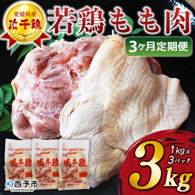 定期便<愛媛県産 銘柄鶏 浜千鶏(はまちどり)若鶏もも肉 3kg>国産 鶏肉 大容量 業務用 3か月