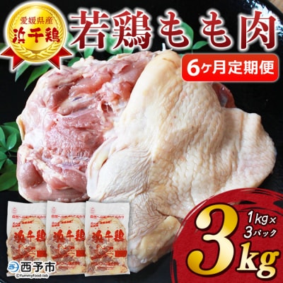 定期便<愛媛県産 銘柄鶏 浜千鶏(はまちどり)若鶏 もも肉 3kg>国産 鶏肉 大容量 業務用 