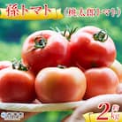 <孫トマト(桃太郎トマト)約2kg> トマト とまと 選べる 2キロ 大玉 愛媛県産 西予市産 食
