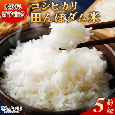 新米<令和7年産 愛媛県西予市産 コシヒカリ 田んぼダム米 5kg選べる 5キロ こしひかり