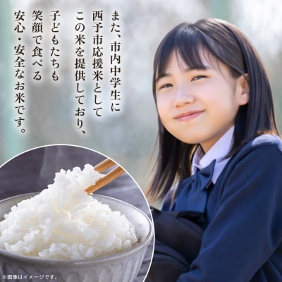 新米<令和7年産 愛媛県西予市産 コシヒカリ 田んぼダム米 5kg選べる 5キロ こしひかり