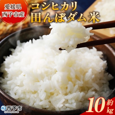新米<令和7年産 愛媛県西予市産 コシヒカリ 田んぼダム米 10kg> 選べる 10キロ こしひか