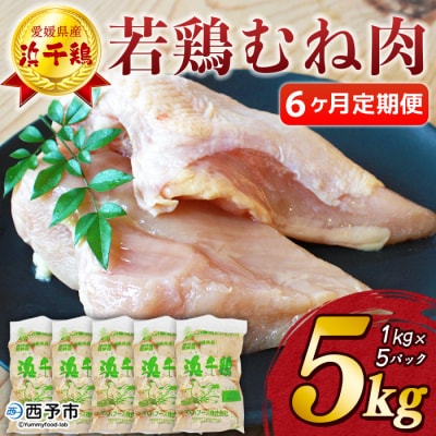 定期便<愛媛県産 銘柄鶏 浜千鶏(はまちどり)若鶏 むね肉5kg>国産 鶏肉 大容量 6か月