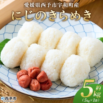 <にじのきらめき 約5kg ニジノキラメキ 米 お米 コメ こめ 白米 精米 