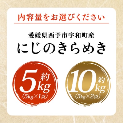 <にじのきらめき 約5kg ニジノキラメキ 米 お米 コメ こめ 白米 精米 