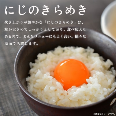 <にじのきらめき 約10kg> 選べる10キロ ニジノキラメキ 米 お米 コメ こ