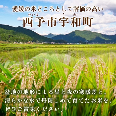 <にじのきらめき 約10kg> 選べる10キロ ニジノキラメキ 米 お米 コメ こ