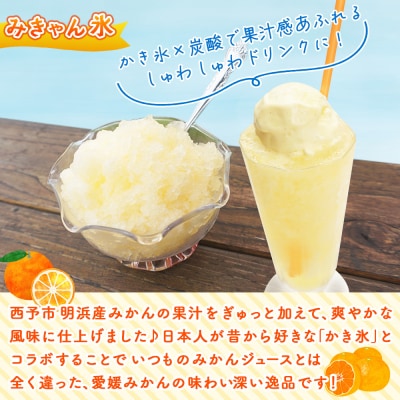 袋かき氷　みきゃん氷　20個　 かき氷 みかん味 オレンジ味 135ml 氷菓 シャーベット