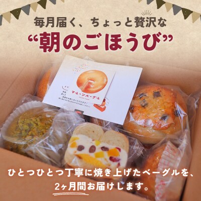 <季節のいろいろベーグルセット(おまかせ 8～10個)> 通常 定期便 2ヶ月プレーン ショコラ 