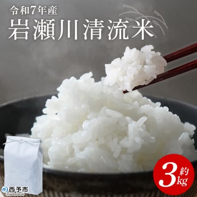 <令和7年産 岩瀬川清流米 3kg 選べる こしひかり コシヒカリ