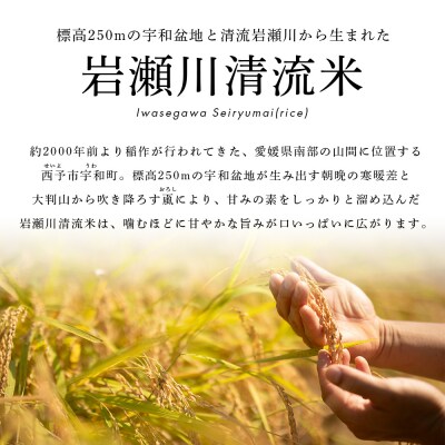 <令和7年産 岩瀬川清流米 3kg 選べる こしひかり コシヒカリ