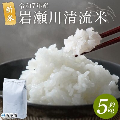 <令和7年産 新米 岩瀬川清流米 5kg 選べる こしひかり コシヒカリ