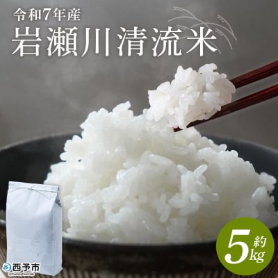 <令和7年産  岩瀬川清流米 5kg 選べる こしひかり コシヒカリ