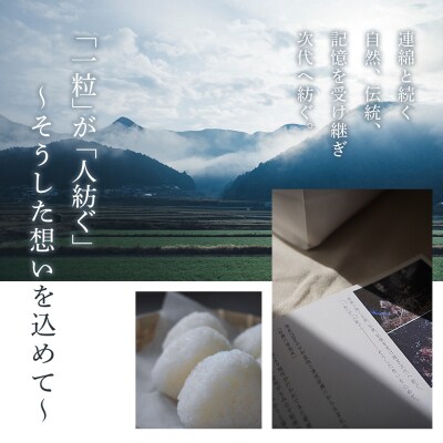 <令和8年産  岩瀬川清流米 5kg 選べる こしひかり コシヒカリ