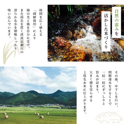 <令和7年産 岩瀬川清流米 10kg 選べる こしひかり コシヒカリ